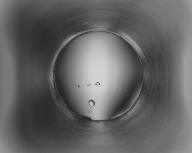 X0000102480956200808151447