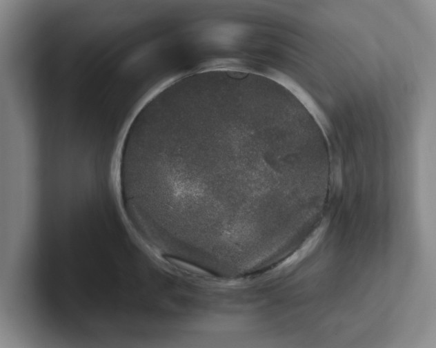 X0000102480957200808151447