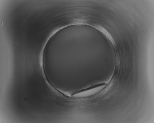 X0000102480958200808151447