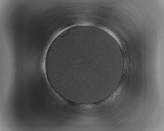 X0000102480959200808151447