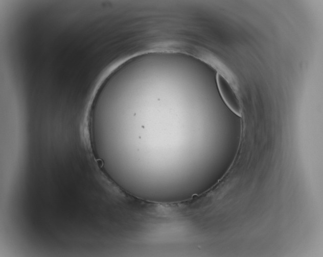 X0000102480960200808151447