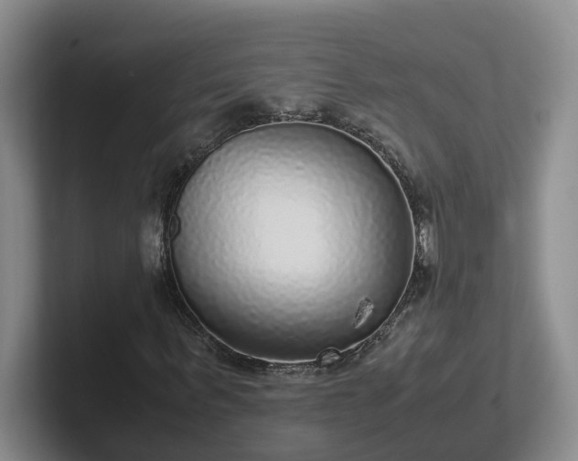 X0000102480963200808151446