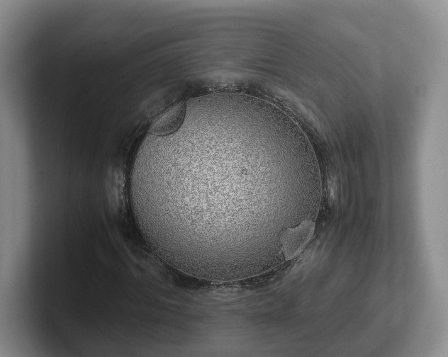 X0000102480964200808151446