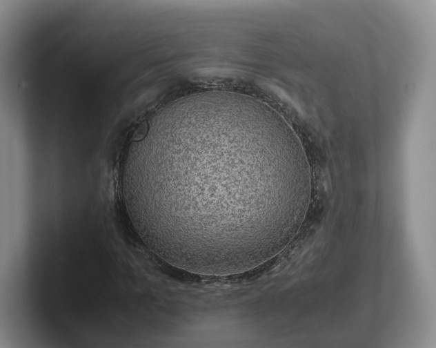 X0000102480965200808151446