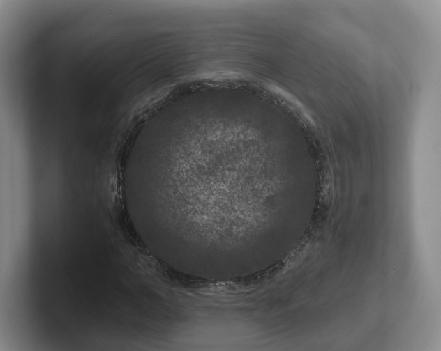 X0000102480966200808151446