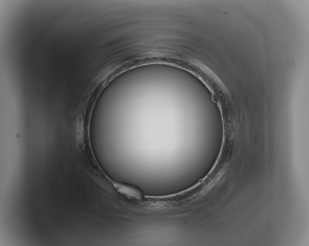 X0000102480969200808151446