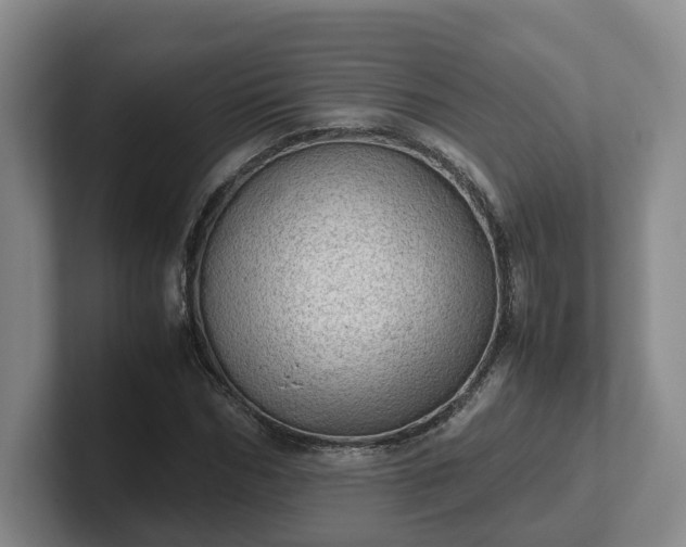 X0000102480970200808151446