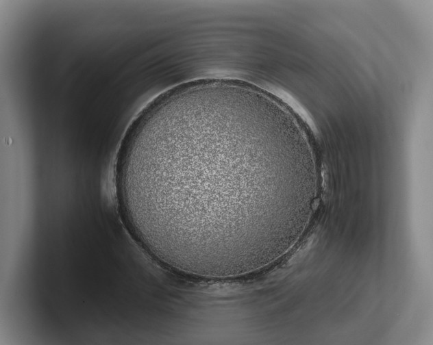 X0000102480972200808151446