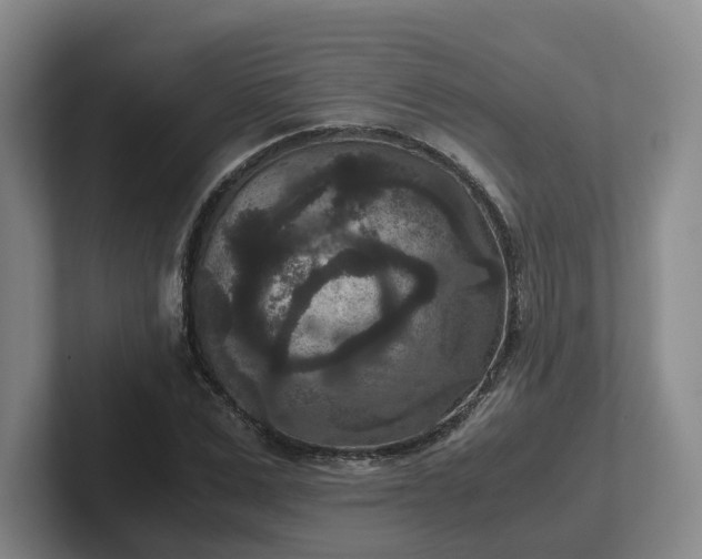 X0000102480975200808151446