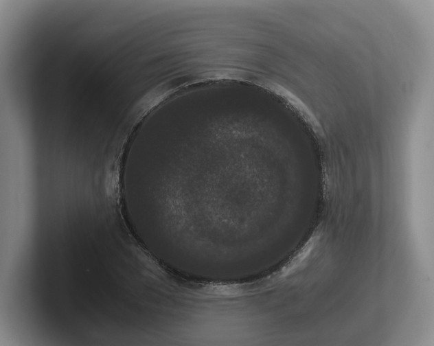 X0000102480977200808151446