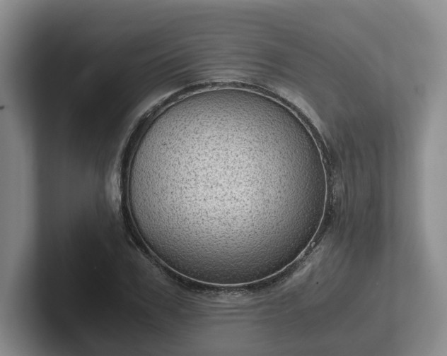 X0000102480979200808151446