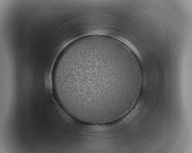 X0000102480980200808151446