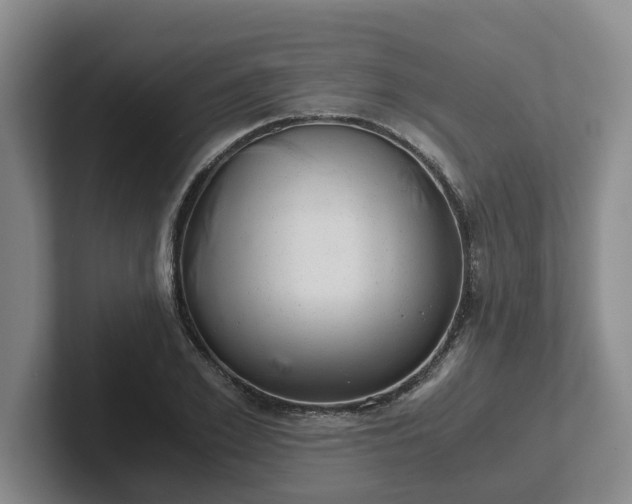 X0000102480981200808151446