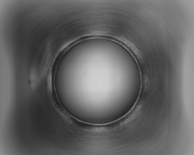 X0000102480982200808151446