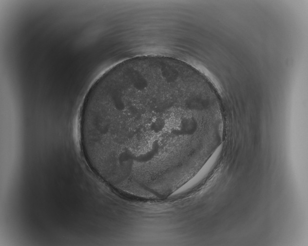 X0000102480983200808151446