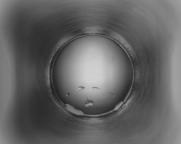 X0000102480986200808151446