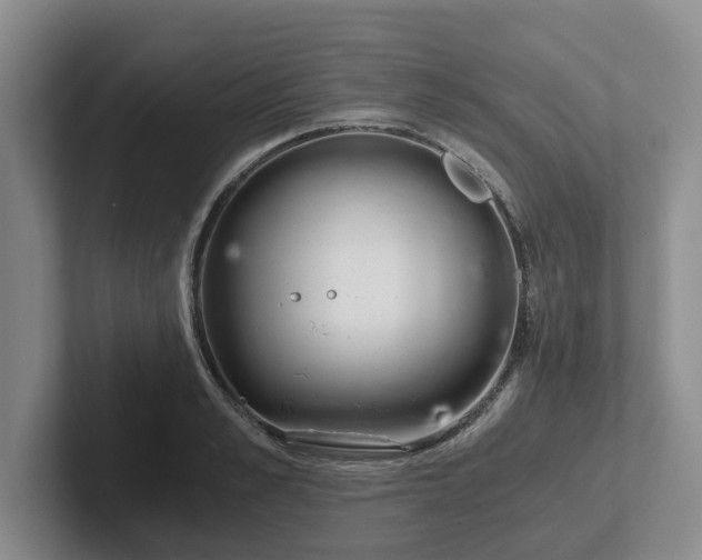 X0000102480989200808151446