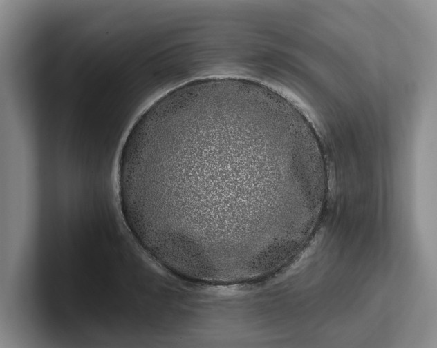 X0000102480990200808151446