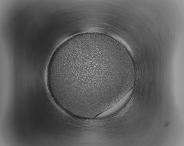 X0000102480991200808151446