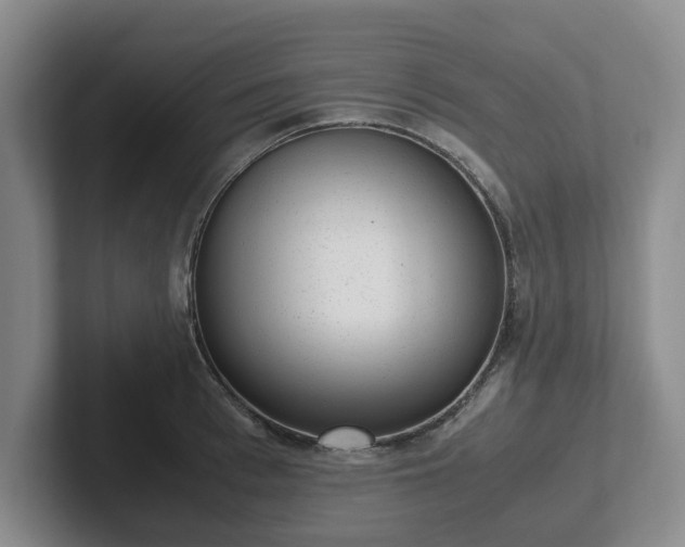 X0000102480993200808151446