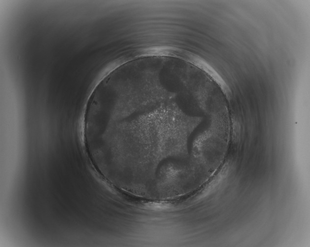 X0000102480994200808151446