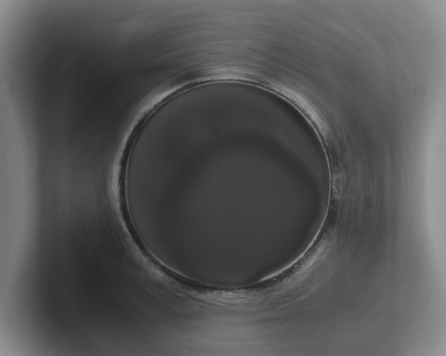 X0000102480995200808151446