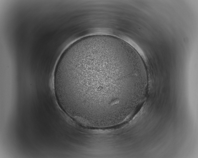 X0000102480996200808151446