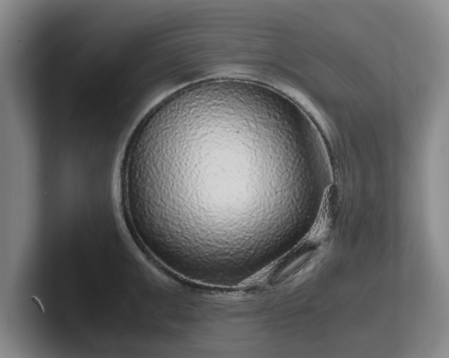 X0000102480999200808151446