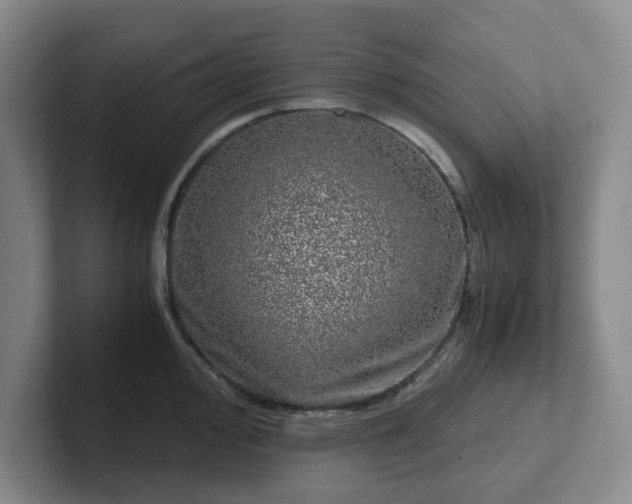 X0000102481000200808151446