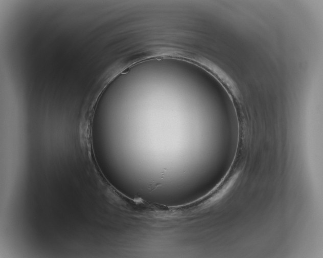 X0000102481001200808151446