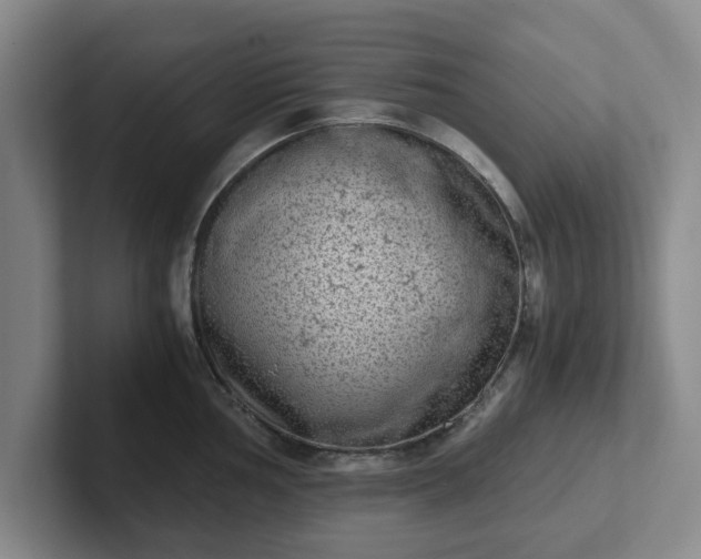 X0000102481002200808151446