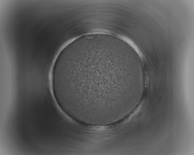 X0000102481003200808151446