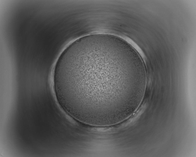 X0000102481005200808151446