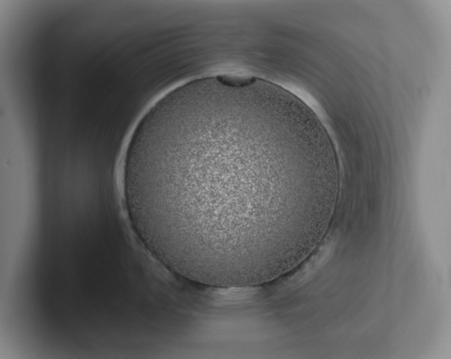 X0000102481008200808151446