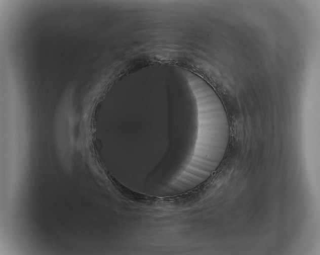 X0000102481009200808151445