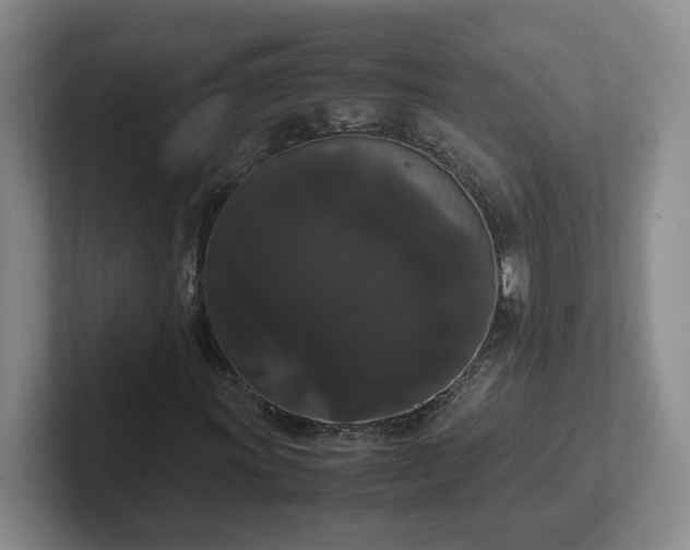 X0000102481011200808151445