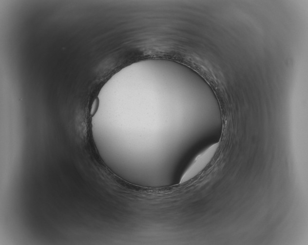 X0000102481012200808151445