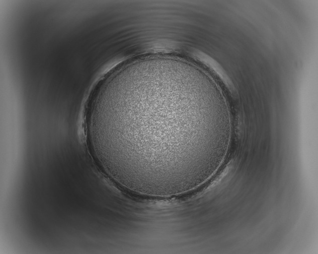 X0000102481018200808151445