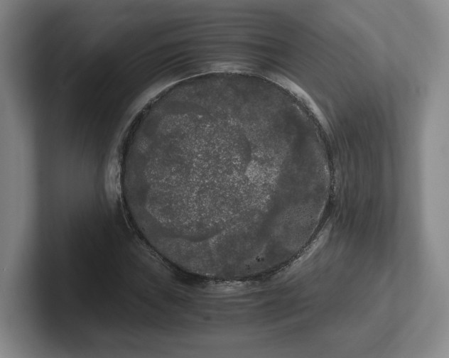 X0000102481019200808151445