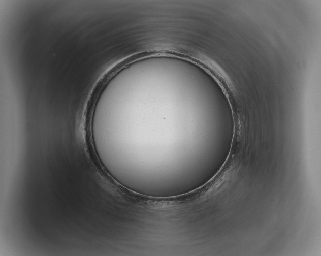 X0000102481020200808151445