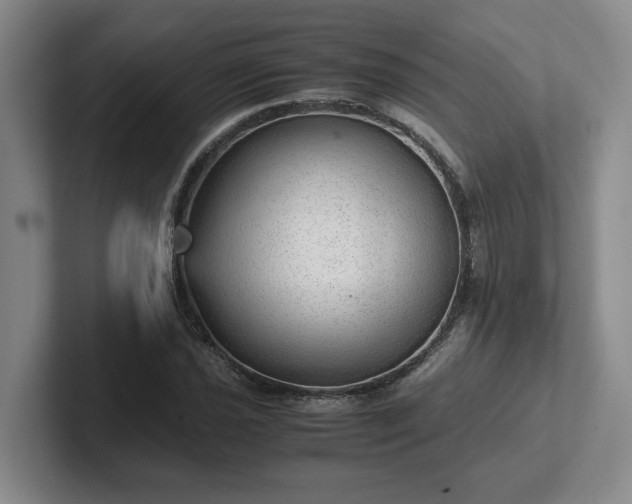 X0000102481021200808151445