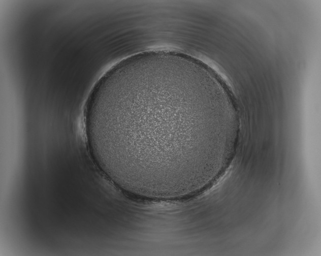 X0000102481022200808151445