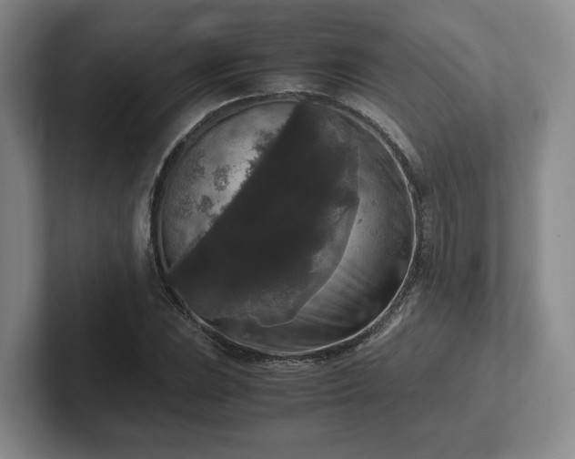 X0000102481023200808151445