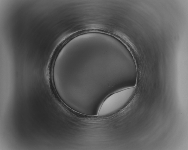 X0000102481024200808151445