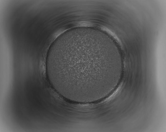 X0000102481025200808151445