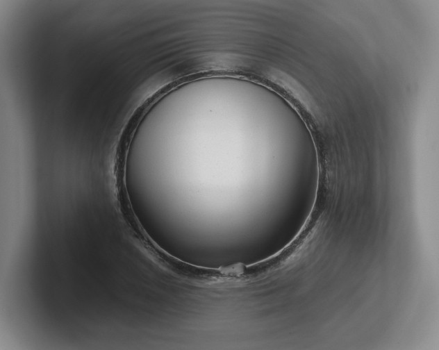 X0000102481026200808151445