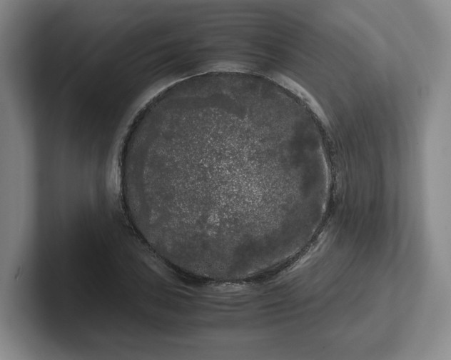 X0000102481027200808151445