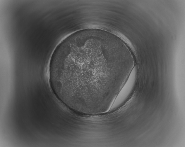 X0000102481028200808151445