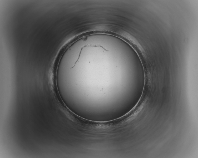 X0000102481029200808151445