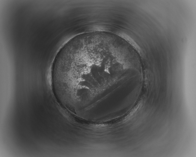 X0000102481031200808151445